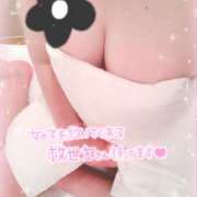 ヒメ日記 2025/05/06 11:36 投稿 まき 千葉柏ちゃんこ