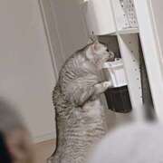 ヒメ日記 2025/10/24 21:38 投稿 まき 千葉柏ちゃんこ