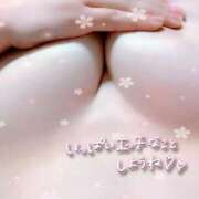 ヒメ日記 2025/10/25 08:14 投稿 まき 千葉柏ちゃんこ