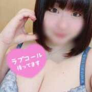 ヒメ日記 2025/11/01 11:59 投稿 まき 千葉柏ちゃんこ