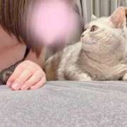 ヒメ日記 2026/02/20 12:49 投稿 まき 千葉柏ちゃんこ