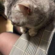 ヒメ日記 2026/02/22 23:12 投稿 まき 千葉柏ちゃんこ