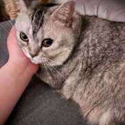 ヒメ日記 2026/03/31 20:31 投稿 まき 千葉柏ちゃんこ