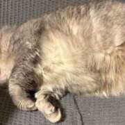 ヒメ日記 2026/04/19 21:50 投稿 まき 千葉柏ちゃんこ