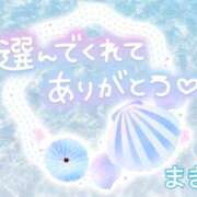 ヒメ日記 2026/08/15 23:29 投稿 まき 千葉柏ちゃんこ