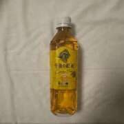 ヒメ日記 2025/11/27 19:26 投稿 りお 長野飯田ちゃんこ