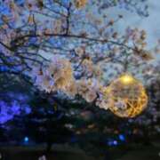 ヒメ日記 2025/05/20 13:38 投稿 ほたる【新人】 ソープランド看護学院ディエックス