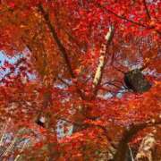 ヒメ日記 2025/12/02 12:20 投稿 まり Ｓ＆Ｍ　極嬢