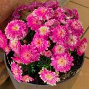 ヒメ日記 2026/03/22 08:50 投稿 まり Ｓ＆Ｍ極嬢