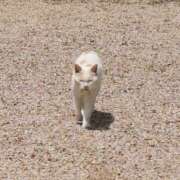 ヒメ日記 2026/05/08 15:50 投稿 まり Ｓ＆Ｍ極嬢