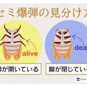 ヒメ日記 2025/08/08 16:49 投稿 美里(ミサト) グランドオペラ名古屋