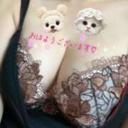 ヒメ日記 2025/02/20 09:06 投稿 柏木　わか 三丁目の奥様（東京ハレ系）