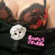 ヒメ日記 2025/02/22 23:04 投稿 柏木　わか 三丁目の奥様（東京ハレ系）