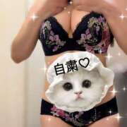 ヒメ日記 2025/07/31 08:55 投稿 柏木　わか 三丁目の奥様（東京ハレ系）