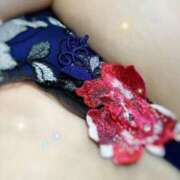 ヒメ日記 2025/09/20 08:21 投稿 柏木　わか 三丁目の奥様（東京ハレ系）