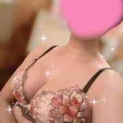 ヒメ日記 2025/12/19 08:19 投稿 柏木　わか 三丁目の奥様（東京ハレ系）