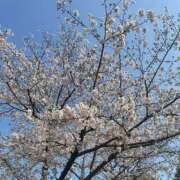 ヒメ日記 2026/03/29 16:39 投稿 柏木　わか 三丁目の奥様（東京ハレ系）