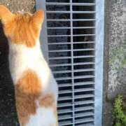 ヒメ日記 2026/04/16 18:03 投稿 りさ 佐賀人妻デリヘル 「デリ夫人」