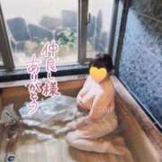 ヒメ日記 2024/12/15 00:05 投稿 ことり 夢の国デリランド