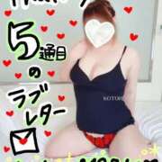 ヒメ日記 2024/12/29 22:05 投稿 ことり 夢の国デリランド