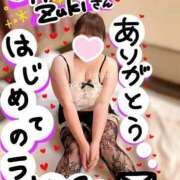 ヒメ日記 2024/12/30 23:05 投稿 ことり 夢の国デリランド