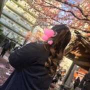 ヒメ日記 2025/03/19 23:55 投稿 ことり 夢の国デリランド