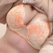 ヒメ日記 2025/03/21 13:15 投稿 ことり 夢の国デリランド