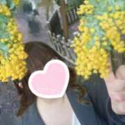 ヒメ日記 2025/03/27 00:05 投稿 ことり 夢の国デリランド