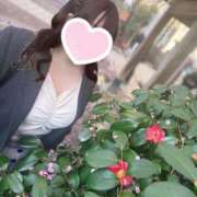 ヒメ日記 2025/04/07 13:35 投稿 ことり 夢の国デリランド