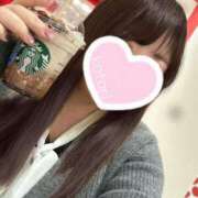 ヒメ日記 2025/04/08 23:55 投稿 ことり 夢の国デリランド