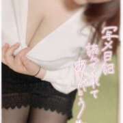 ヒメ日記 2025/04/10 22:35 投稿 ことり 夢の国デリランド