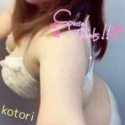 ヒメ日記 2025/04/14 09:05 投稿 ことり 夢の国デリランド