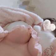 ヒメ日記 2025/04/17 09:05 投稿 ことり 夢の国デリランド