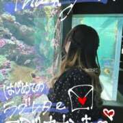 ヒメ日記 2025/04/23 11:45 投稿 ことり 夢の国デリランド