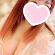 ヒメ日記 2025/05/11 11:15 投稿 ことり 夢の国デリランド