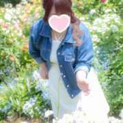 ヒメ日記 2025/05/15 02:35 投稿 ことり 夢の国デリランド