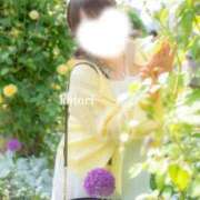 ヒメ日記 2025/06/08 22:45 投稿 ことり 夢の国デリランド