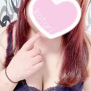 ヒメ日記 2025/07/07 08:45 投稿 ことり 夢の国デリランド