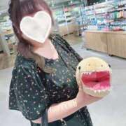 ヒメ日記 2025/08/30 00:03 投稿 ことり 夢の国デリランド