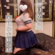 ヒメ日記 2025/09/14 18:05 投稿 ことり 夢の国デリランド