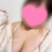 ヒメ日記 2025/09/15 23:45 投稿 ことり 夢の国デリランド