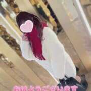 ヒメ日記 2025/10/24 08:45 投稿 ことり 夢の国デリランド