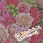 ヒメ日記 2025/05/23 15:42 投稿 るみな モアグループ 土浦人妻花壇