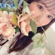 ヒメ日記 2025/10/09 02:01 投稿 スミレ エピソード(品川)