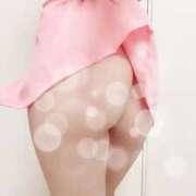 ヒメ日記 2025/12/02 21:01 投稿 スミレ エピソード(品川)