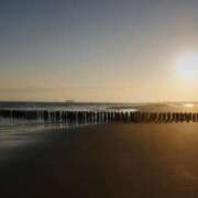 ヒメ日記 2025/03/11 09:33 投稿 かずは 脱がされたい人妻 木更津店