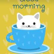 ヒメ日記 2025/03/19 08:54 投稿 かずは 脱がされたい人妻 木更津店