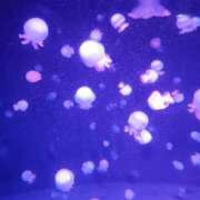 みお ありがとうございます🌷🌷 イエスグループ熊本　Kawaii（カワイイ）