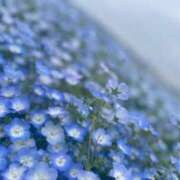 ヒメ日記 2026/04/24 10:45 投稿 LISA ニューハーフヘルスSURPRISE ONE梅田店