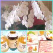 ヒメ日記 2024/12/10 10:32 投稿 鮎川ゆり 五十路マダム　和歌山店